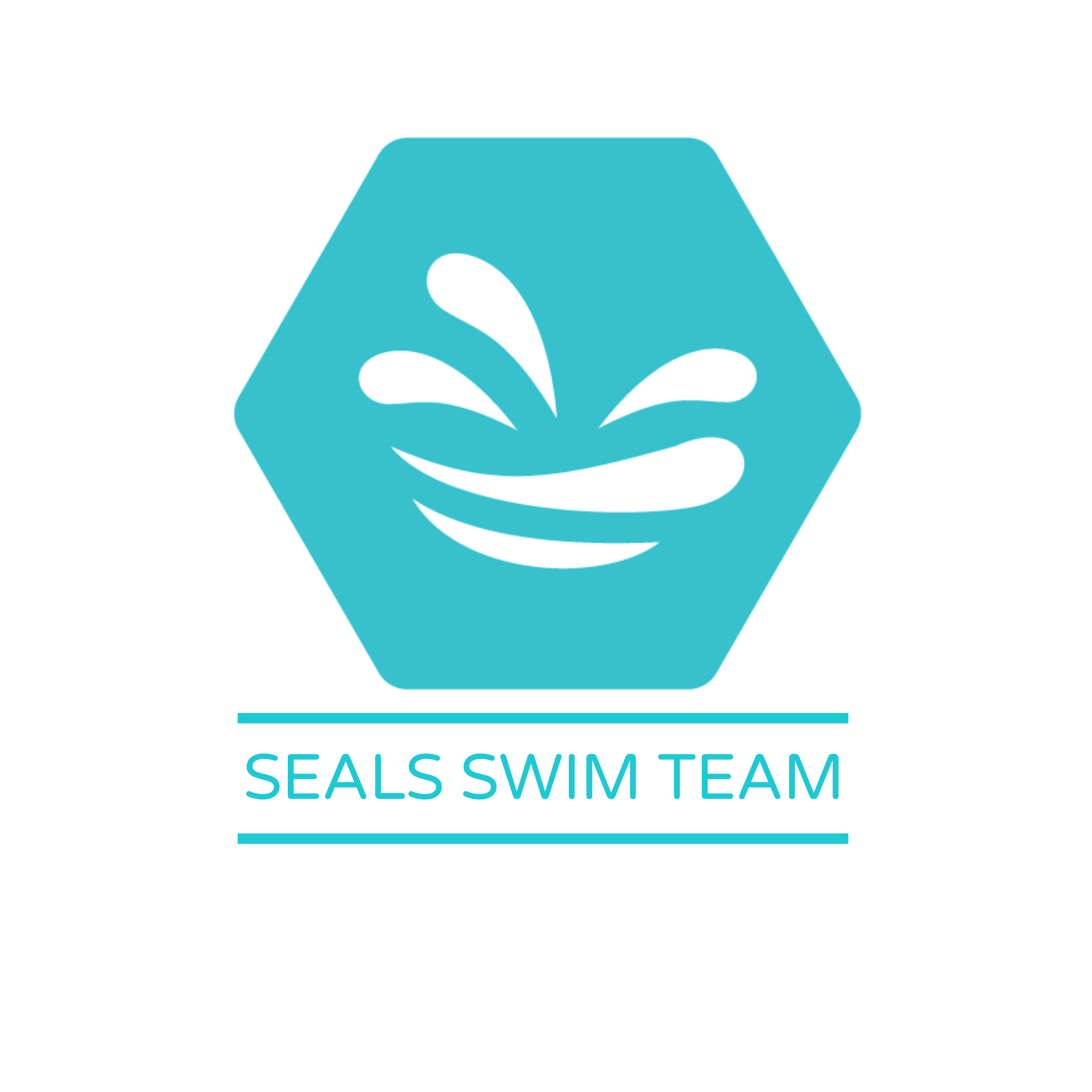 Swim Icon