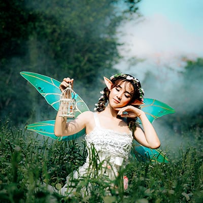 Fairy