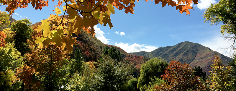 Hobble Creek Canyon